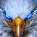 Barry Moose - @barrymoose2 - Instagram