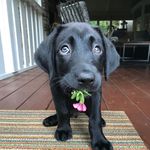 Moose Barry AKA Mr. Baby - @moosebarry18 - Instagram