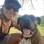 Moose - @moose_barry_ - Instagram