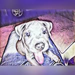 BARRY MORENO - @barrymoreno_ - Instagram