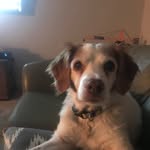 Barry Morley - @88barrym88 - Instagram