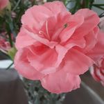 Barry Morton - @barrymorton111 - Instagram