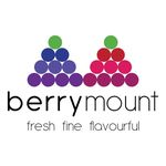 Berry Mount - @berrymountdxb - Instagram