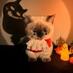 Barry Moy - @barrymoy - Instagram