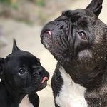 Barry Moyser - @barrymoyser - Instagram
