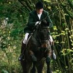 Barry Murphy - @barrymurphy1357 - Instagram