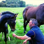 Barry Murphy - @barrymurphynh - Instagram