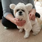 Barry Nash - @barrynash9575 - Instagram