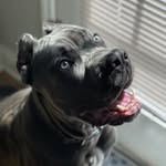 Barry Nash - @barry__milli - Instagram