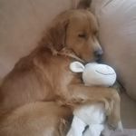 Barry Navarro - @barrythecutest__ - Instagram