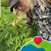 Barry Boatner - Facebook