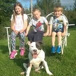 Barry O'Shaughnessy - @barryoshaughnessy - Instagram