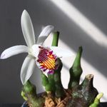 Barry Ng - @barry__ng - Instagram