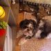 Barry Nicholas - Facebook