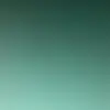 Barry Nile - @barrynile - TikTok