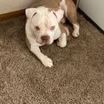 Barry Nixon Sr. - @tricky0357 - Instagram