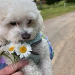 Barry Noe - @barrynoe - Instagram
