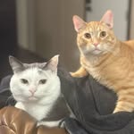 @barry_n_ollie - Instagram