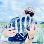 Barry Noll - @barrynoll - Instagram