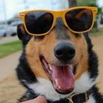 Barry Nollen - @barrynollen - Instagram