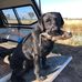 Barry Norton - Facebook