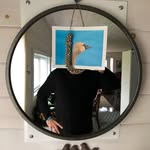 Barry Norton - @barrynorton9695 - Instagram