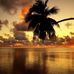 Barry Novak - Facebook
