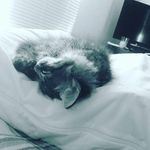 Barry oakley - @thedarknightlolz - Instagram