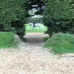 Barry O Connor - @barryoconnorireland - Instagram