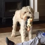 barry_oconnor - @barry_oconnor - Instagram