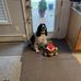 Barry Odonnell - Facebook