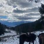 Barry Ogle - @ogle.barry - Instagram