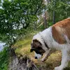 Barry_Online - @barry_online - TikTok