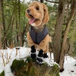 Barry Olson - @barry.olsonn - Instagram
