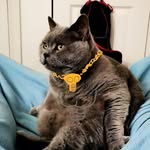 Barry Ong - @aka_decayed - Instagram