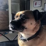 Barry Ong-Glendenning - @mrbarryong - Instagram