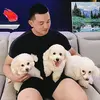 BarryHong - @barryhong7 - TikTok