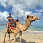 Barry Osborne - @barryosborne - Instagram