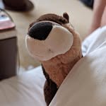 Barry - @barryottery - Instagram