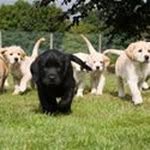 Barry  Palmer - @palmer.barry - Instagram