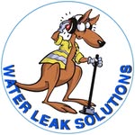 Barry Palmer - @water_leak_solutions - Instagram