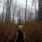 Barry Park - @barrymetis14 - Instagram