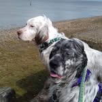 Barry Parkinson - @barry.parkinson.129 - Instagram