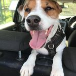 Barry Patton - @barryinburton - Instagram