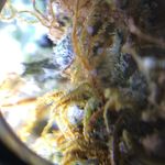 Barry Pease - @barrymetricpressure - Instagram