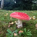 Barry peck - @barrypeck25 - Instagram