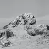 sóc.🐑 - @barrypeebles937 - TikTok