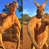Barry Pell - @barry.pell - TikTok