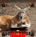 Barry Pell - Facebook