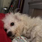 Barry Pendleton - Facebook